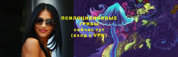 дживик Баксан