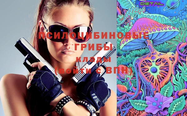 дживик Баксан